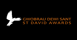 St David Awards 